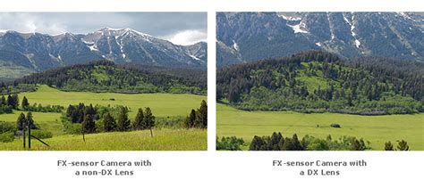 The DX and FX Formats.